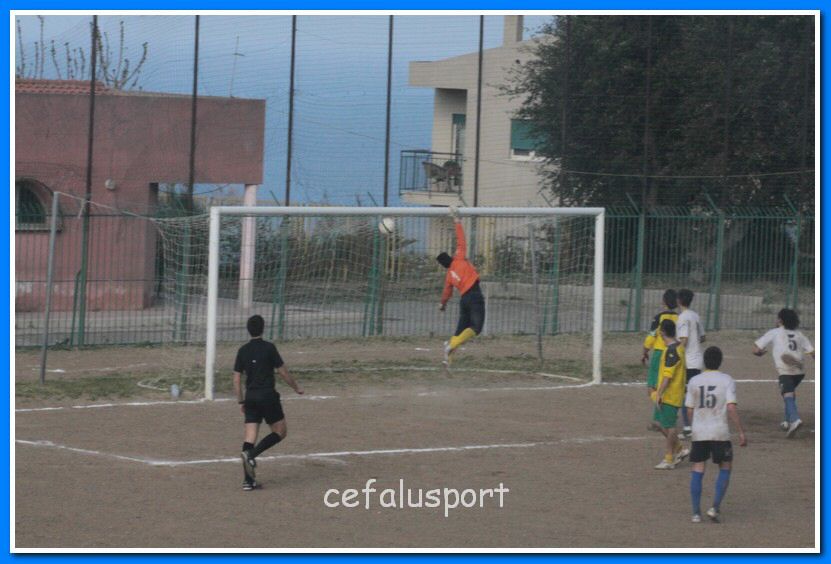 130406 delfini 190_tn.jpg
